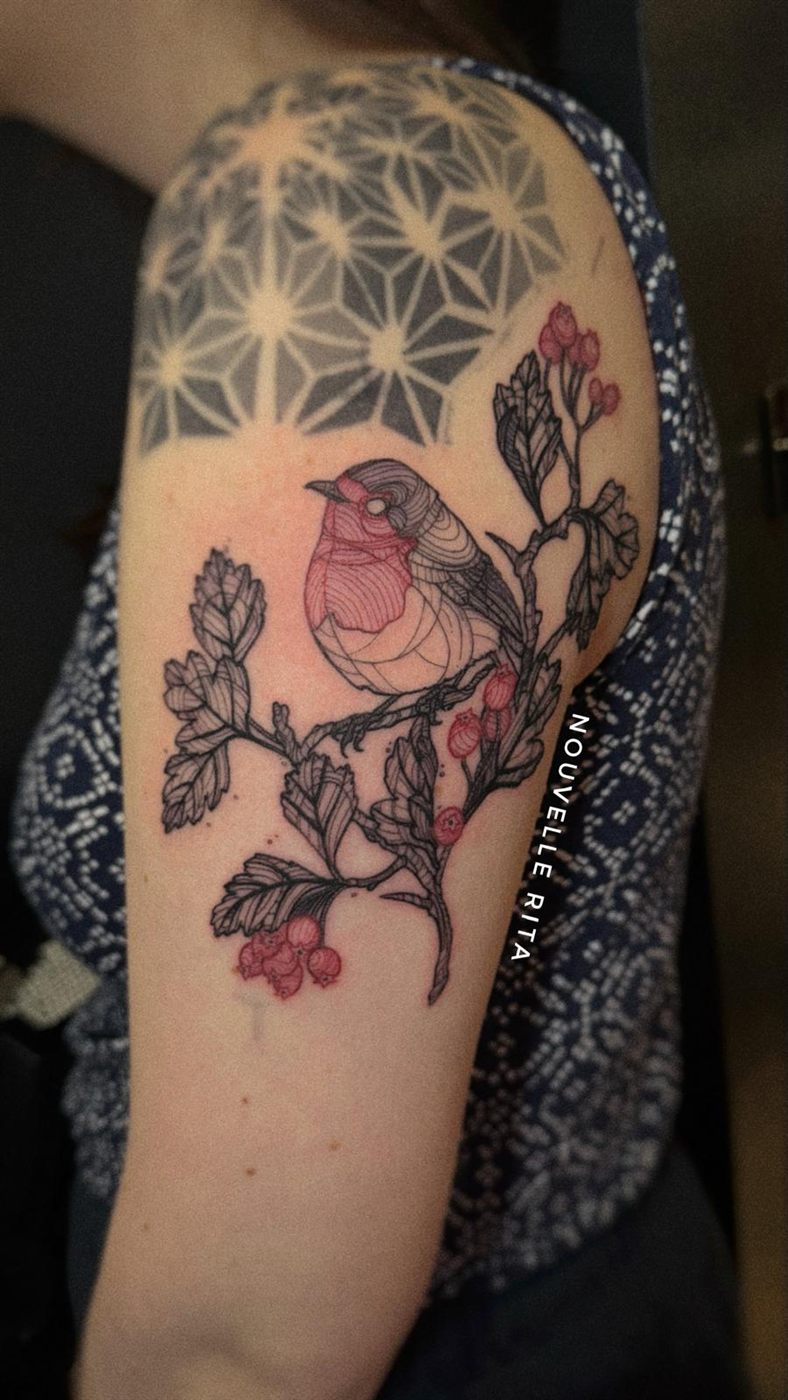 Fine-line tattoo of a robin perched on a hawthorn branch with red berries, beneath a geometric pattern, on an upper arm.
